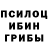 Галлюциногенные грибы Psilocybe Richard Beckeman