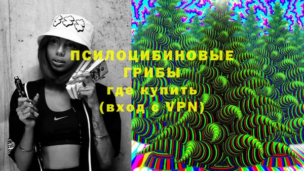 твердый Алексеевка