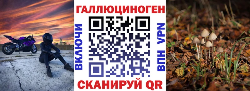 Псилоцибиновые грибы Psilocybe  Сосенский 